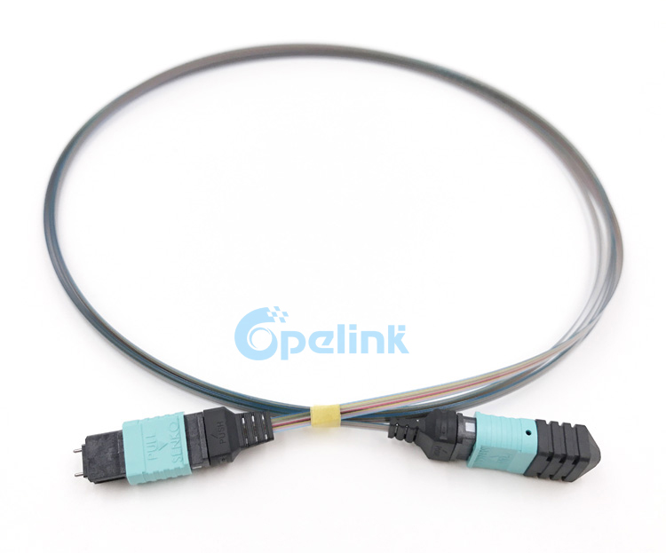 12-Fiber MPO/MTP Ribbon Cable OM3 Fiber Optic Patch Cable 12-Fiber MPO/MTP Ribbon Cable OM3 Fiber Optic Patch Cable