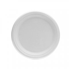 9" round plate