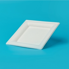 6 inch square plate