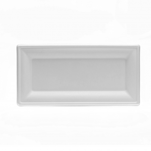 10*5 inch square plate