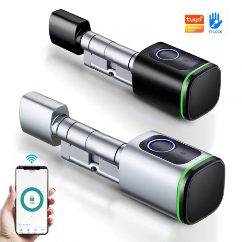 T100 Wireless Smart Cylinder Lock/ TT Lock