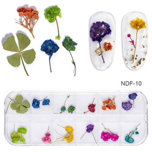 NDF-10 1 Piece Set Mixed Color Shiny Snowdrop Dried Flower Rainbow Dry Leaf