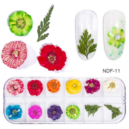 NDF-11 12pcs/box Dried Flowers Nail Art Decoration 3D Dry Natural Floral Stickers UV Gel