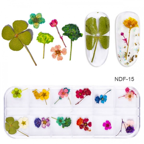NDF-15 Dried Flowers 3d Natural Daisy Gypsophila Preserved Dry DIY Stickers