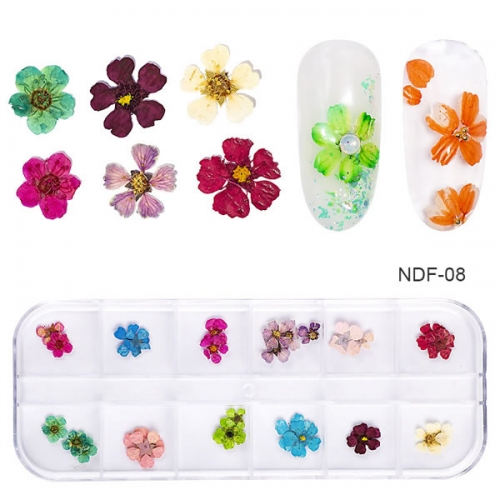 NDF-08 12 Grid 3d Natural Daisy Gypsophila Preserved Dry DIY Stickers Dried Flowers