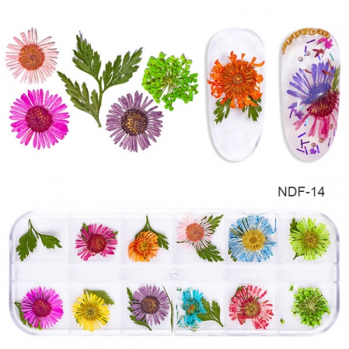 NDF-14 1PC 3D DIY Mixed Dried Flower Nail Art Decorations Dry Floral Potpourri