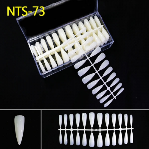 NTS-73 NTS-74 Long stiletto 21 stripes nail tips