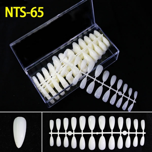 NTS-65 NTS-66 Stiletto 23 stripes nail tips