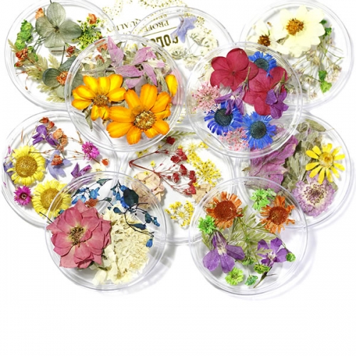 NDF-20 Mixed nail art dry flower 24 designs