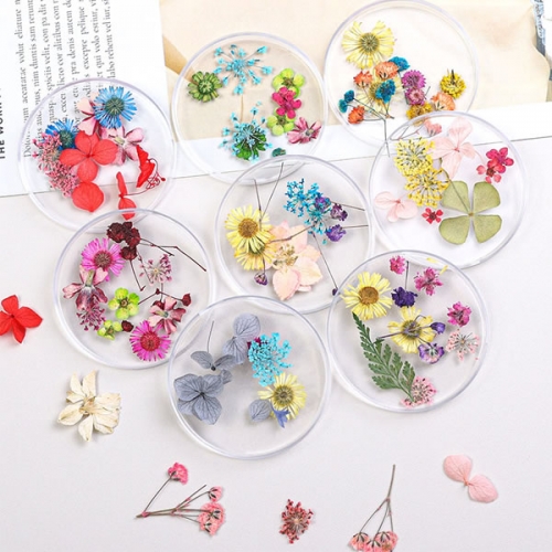 NDF-30 Mixed dry flowers nail art decorations