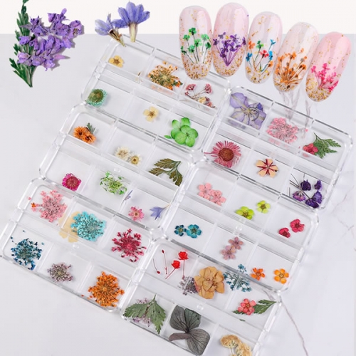 NDF-32 Mixed nail art dry flowers