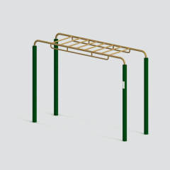Park Horizontal Ladder For Children