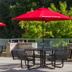 expanded metal square thermoplastic backrest picnic table