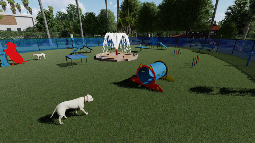 Dog agility training equipment