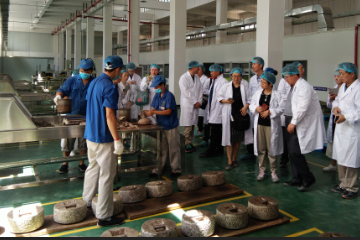 tea factory tour