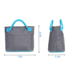 Insulated Cooler Tote Bag