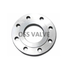 Plate Flange