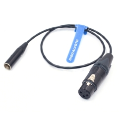 0.5m 3 Pins MINI XLR Male to 3 Hole XLR Male Audio Cable for BMPCC 4K 6K 6KPRO