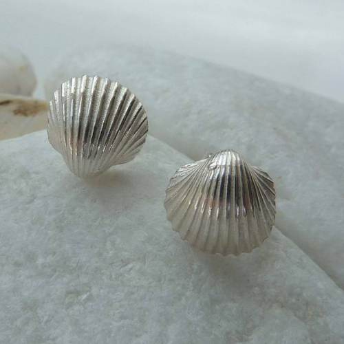Beautiful Design Sterling Silver High Polish Tiny Shell Stud Earrings Designer