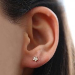Sterling Silver 14K Gold Cubic Zirconia Tiny Star Stud Earrings