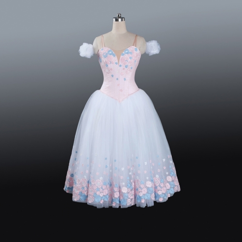 Cinderella Dance Costume