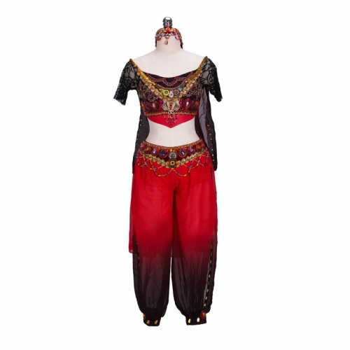 La Bayadere - Temple Dancer Costume