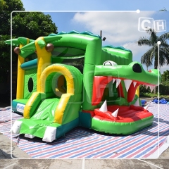 inflatable bouncer with slide