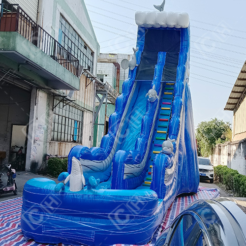 CH Hurricane Color Wave Dolphin Giant Inflatable Water Slide With Pool For Kids And Adults