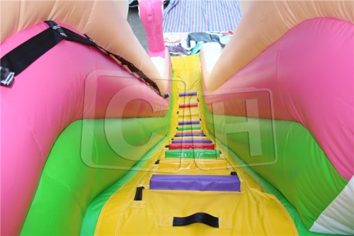 CH Hot Sale Inflatable Dry Slide,Outdoor And Indoor Inflatable Slide Jumping Castle,Beautiful Commercial Inflatable Slide For Party