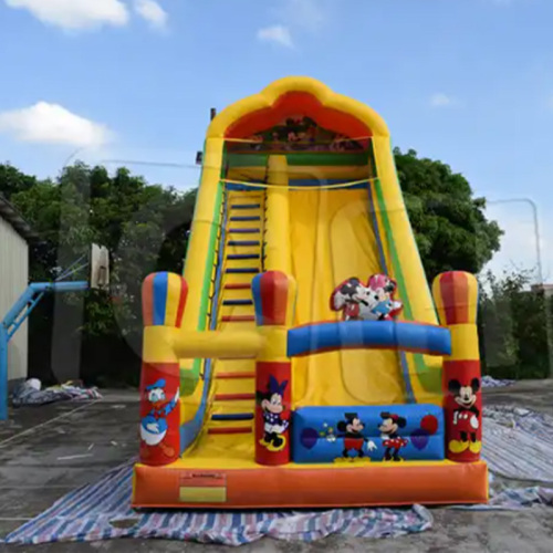 CH 2023 Hot Sale Inflatable Dry Slide,Outdoor And Indoor Inflatable Slide,Factory Price Beautiful Commercial Inflatable Slide