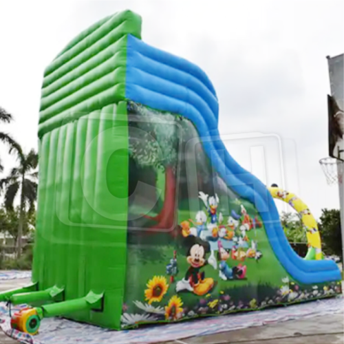 CH Popular High Quality Commercial Dry Slide Cartoon Inflatable Dry Slide Inflatable Water Slide