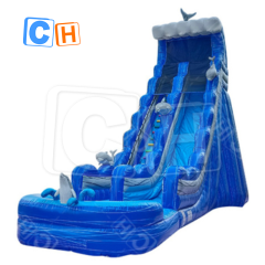 CH Hurricane Color Wave Dolphin Giant Inflatable Water Slide With Pool For Kids And Adults