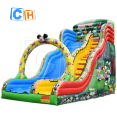 CH Popular High Quality Commercial Dry Slide Cartoon Inflatable Dry Slide Inflatable Water Slide