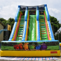 CH New Arrival Adults And Kids Inflatable Water Slide With Big Inflatable Pool Slide Inflatable Dry Slides Outdoor