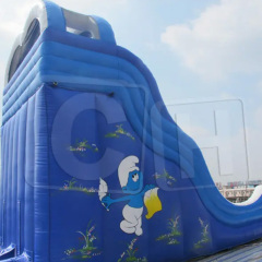 CH Good Quality Amusement Park PVC Tarpaulin Inflatable Dry Slide Outdoor & Indoor Inflatable Jumping Castle House Water Slide