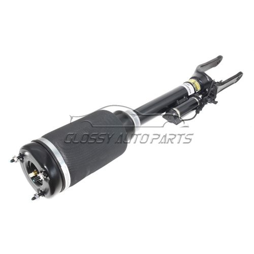 Air Suspension Shock Absorber For Mercedes-Benz W164 1643205813 1643204313