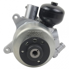 Power Steering Pump For Mercedes R230 W221 C216 A 000 466 09 00 A 004 466 57 01   0004660900 0044665701 0054667001