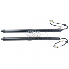 Rear Left And Right Electric Tailgate Gas Spring For Toyota RAV4 2019-2020 Sport Utility 6892042020 68920-42020 68910-0R060 689100R060 68910-42060 689