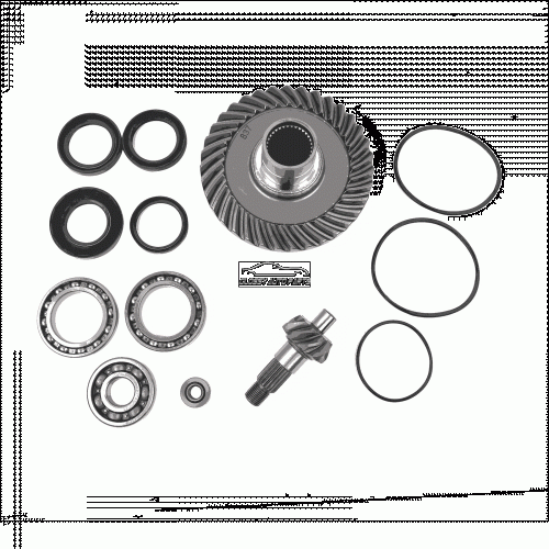 Honda Fourtrax TRX300FW Rear Differential Ring Pinion Gear & Bearing 1988-2000