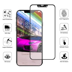 3D Curved Full Tempered Glass for iPhone X