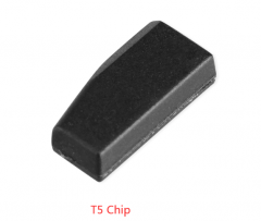 T5 Chip