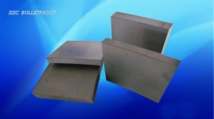 Custom design rubber seal pressureless sintered silicon carbide bulletproof seals