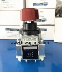 HAWE Hydraulic Check Valve DR2-1 for QUY250 FUWA Crawler Crane