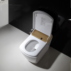 Aifol Water Saving Intelligent P-trap Ceramic Smart Floor Mounted Toilet