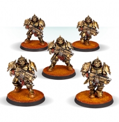 Legio Custodes Sagittarum Guard