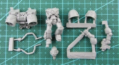 BITS:Red Scorpions Vanguard Veteran A