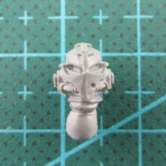 BITS:Dark Angels Legion Head 1