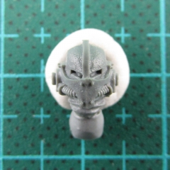 BITS:Dark Angels Legion Head 8