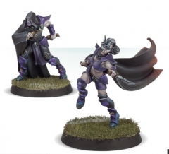 Dark Elf Assassins