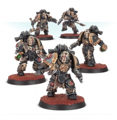 Space Wolves Legion Deathsworn Pack